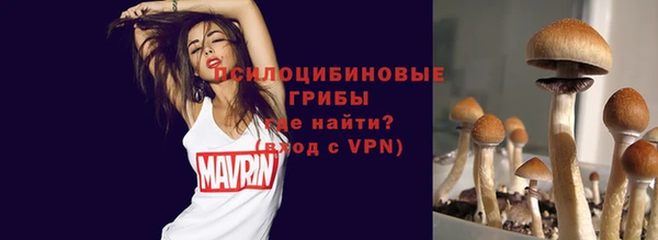 спиды Надым