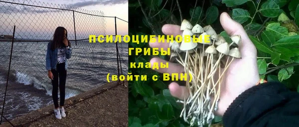 спиды Надым
