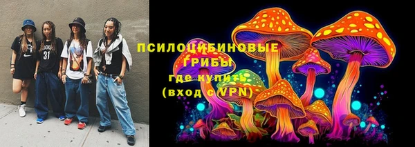 шишки Нея