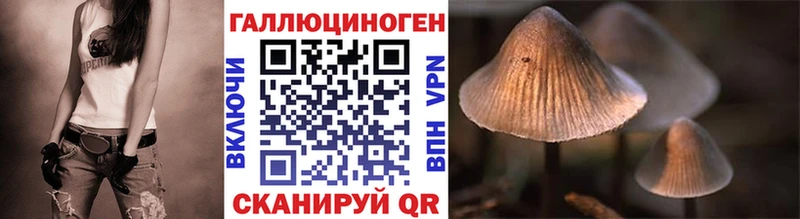 Купить  Октябрьск  Псилоцибиновые грибы Psilocybine cubensis 